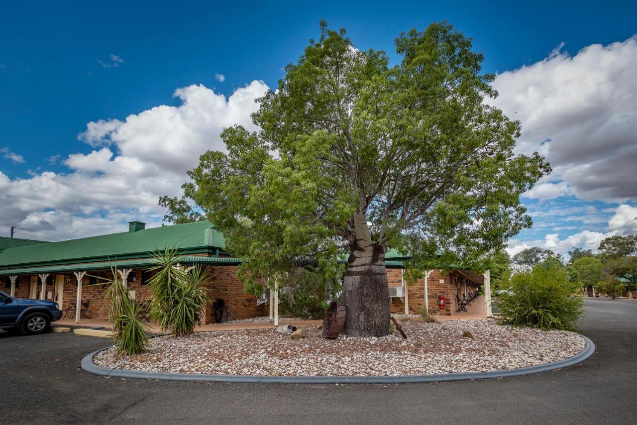 Overlander Homestead Motel Roma Esterno foto